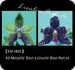 P. KS Metallic Blue x Lioulin Blue Parrot